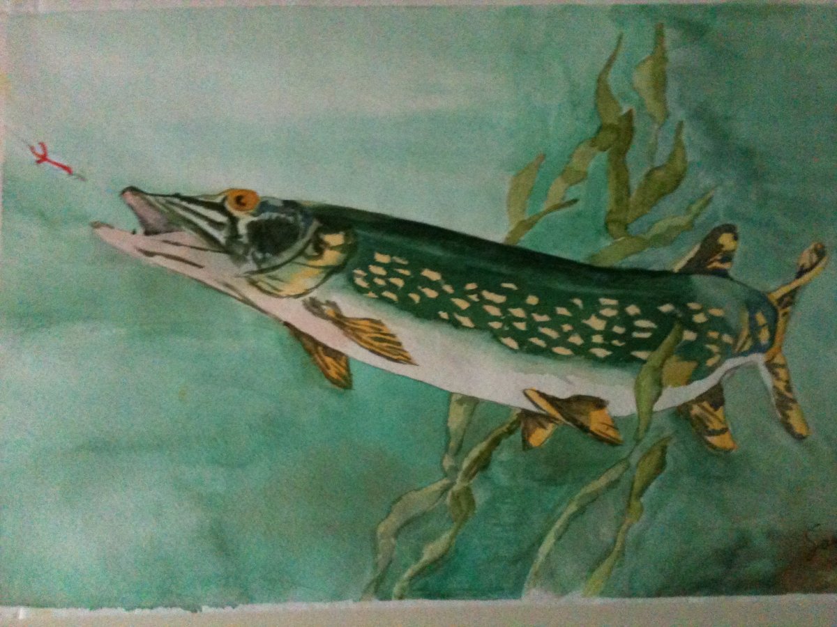 Про Емелю и щуку