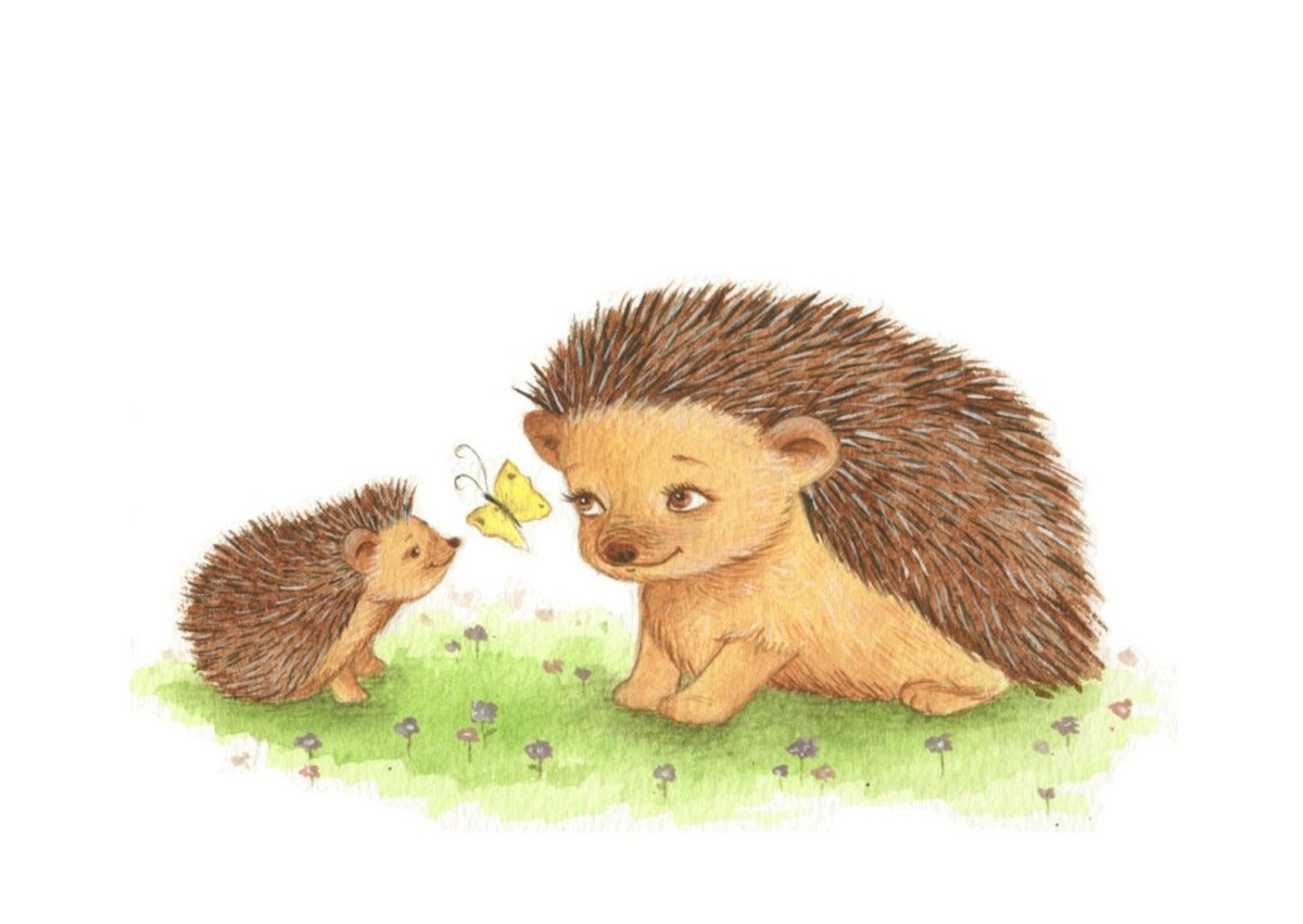 Веселый одуванчик