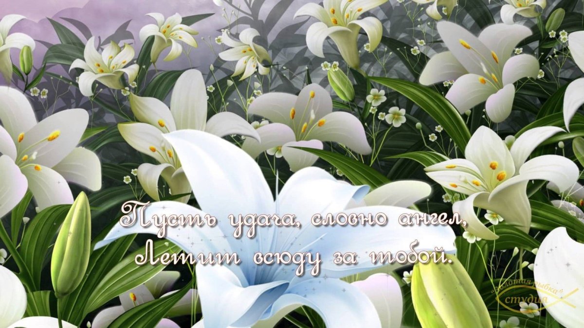 С днём рождения бабушка