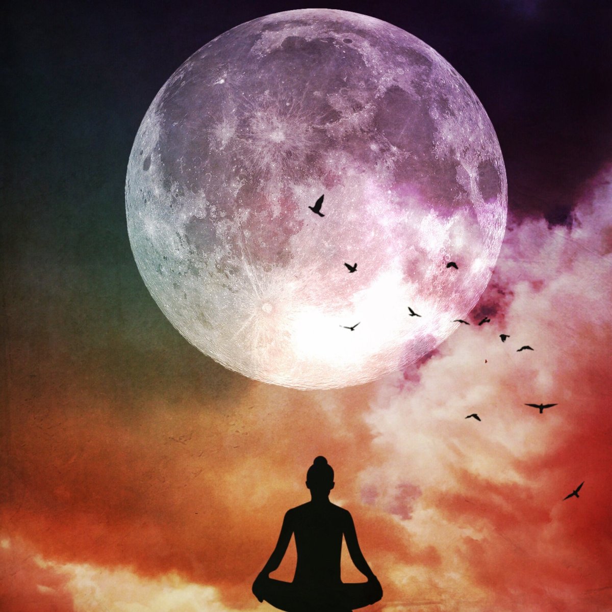 Ночь Луна дорога