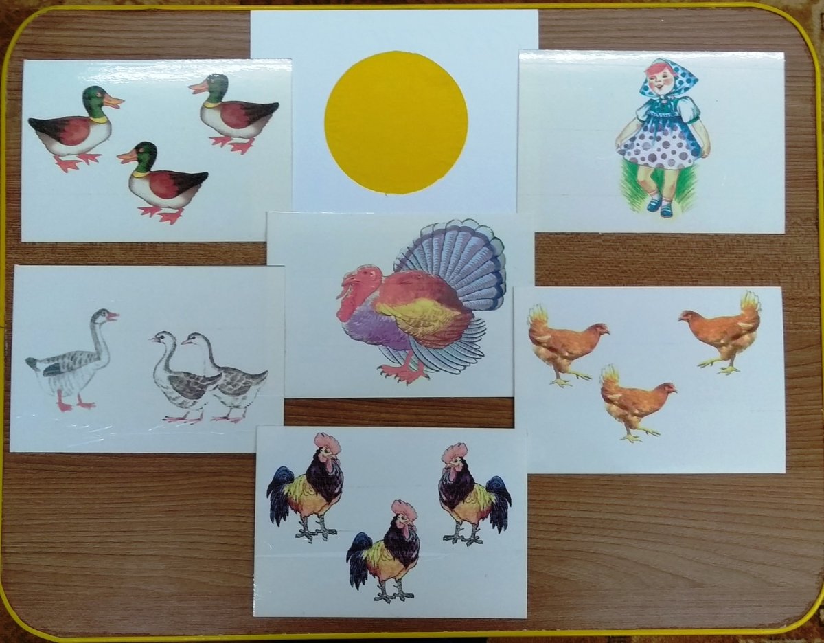 Дидактические пособия домашние птицы