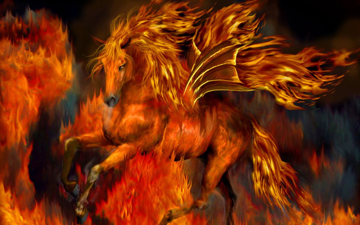 Кэрол Каваларис лошади