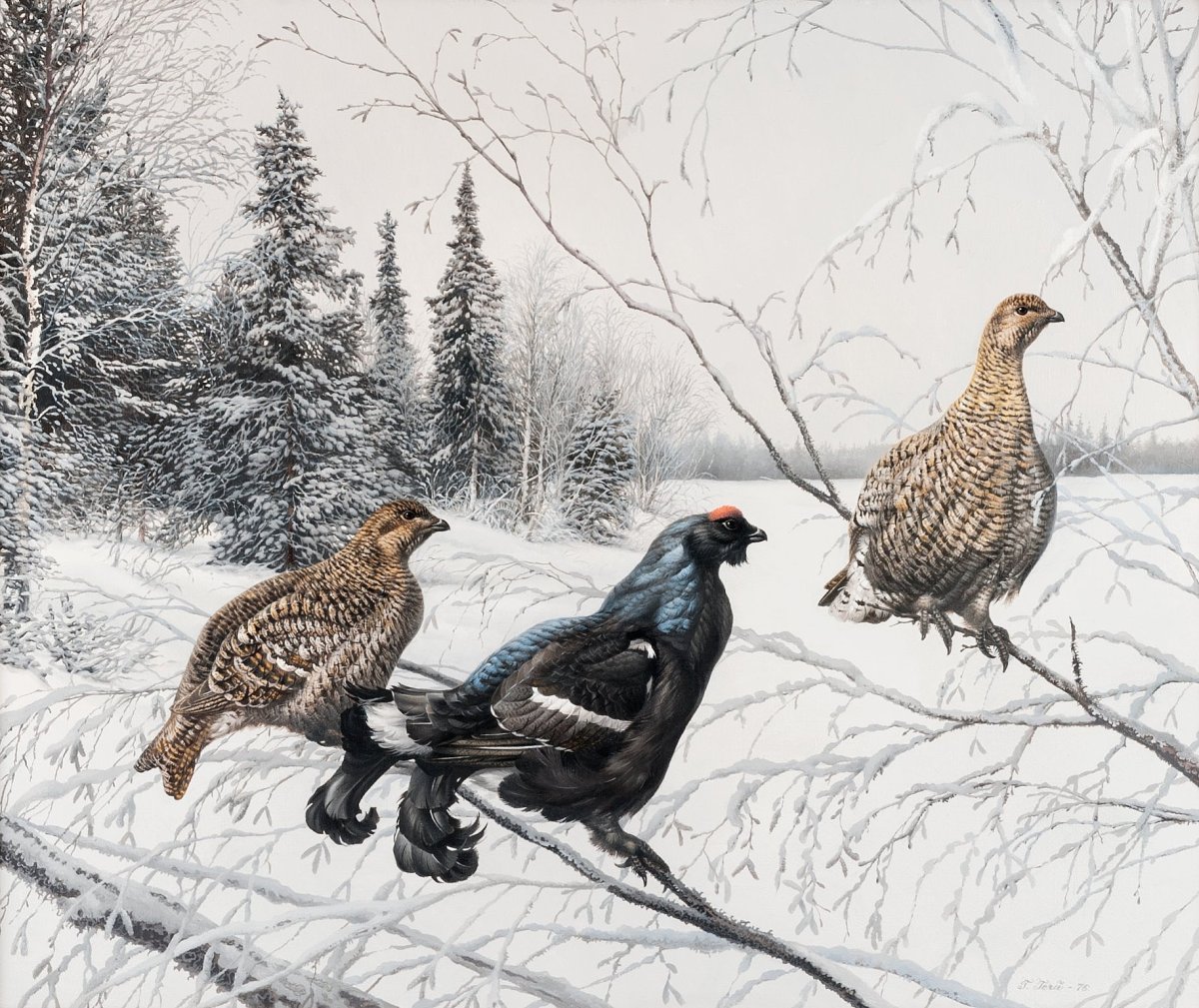 Художник Teppo Terä (1935-2014 г.),