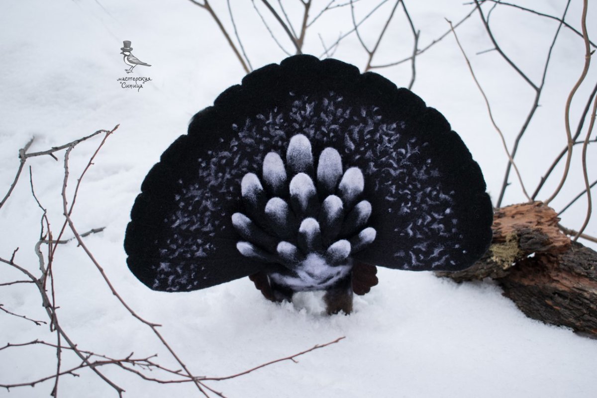 Глухарь сухое валяние