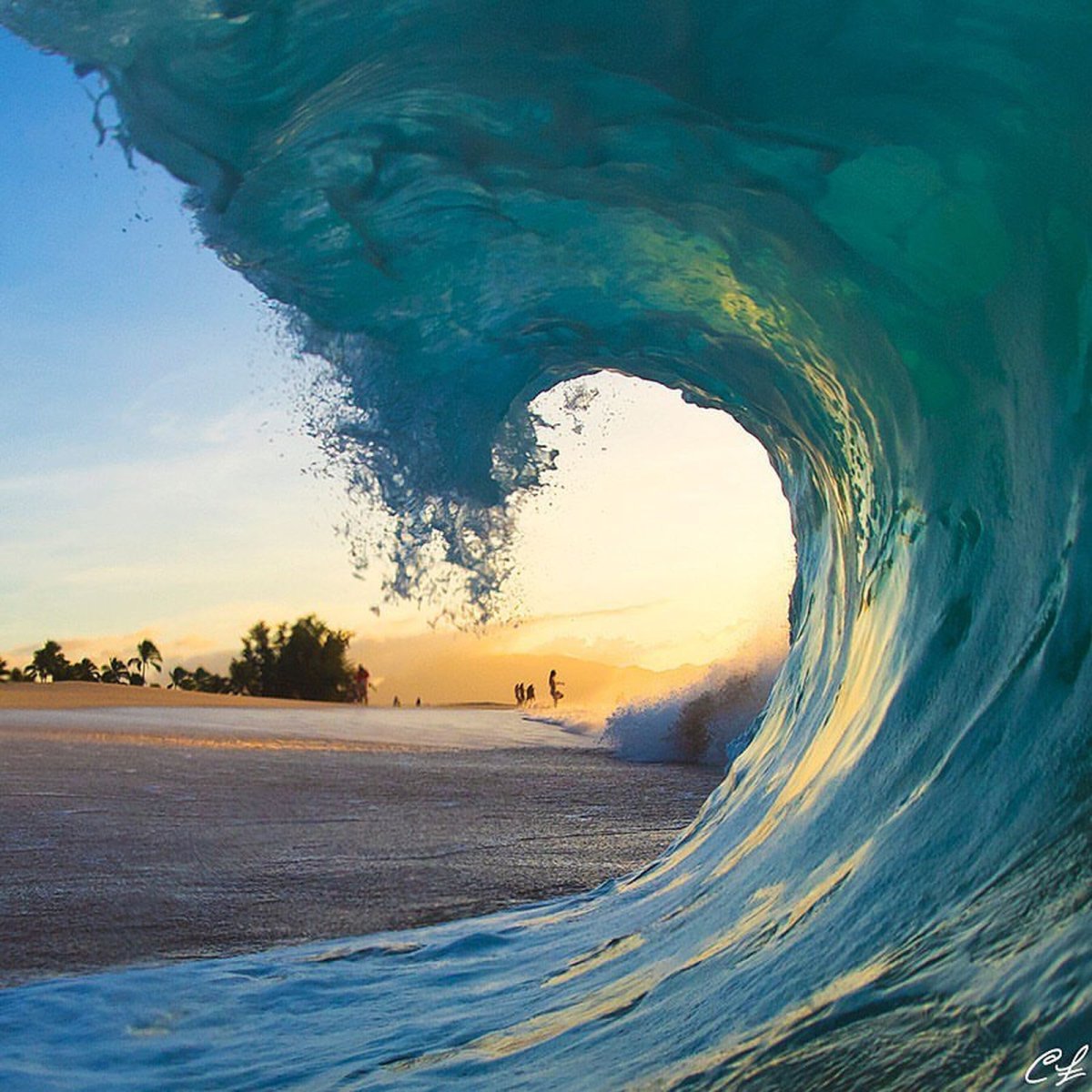 Кларк Литтл