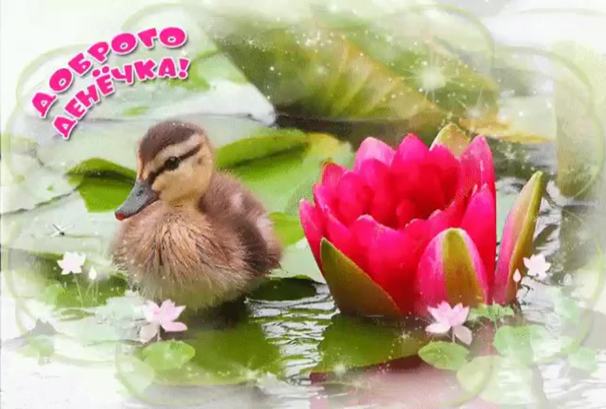 Добрейшего утречка и хорошего денечка