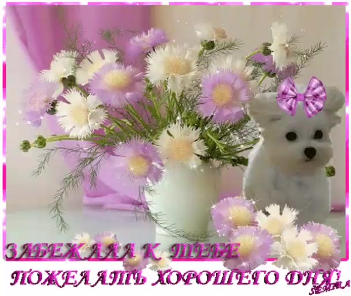 Прекрасного дня и чудного настроения