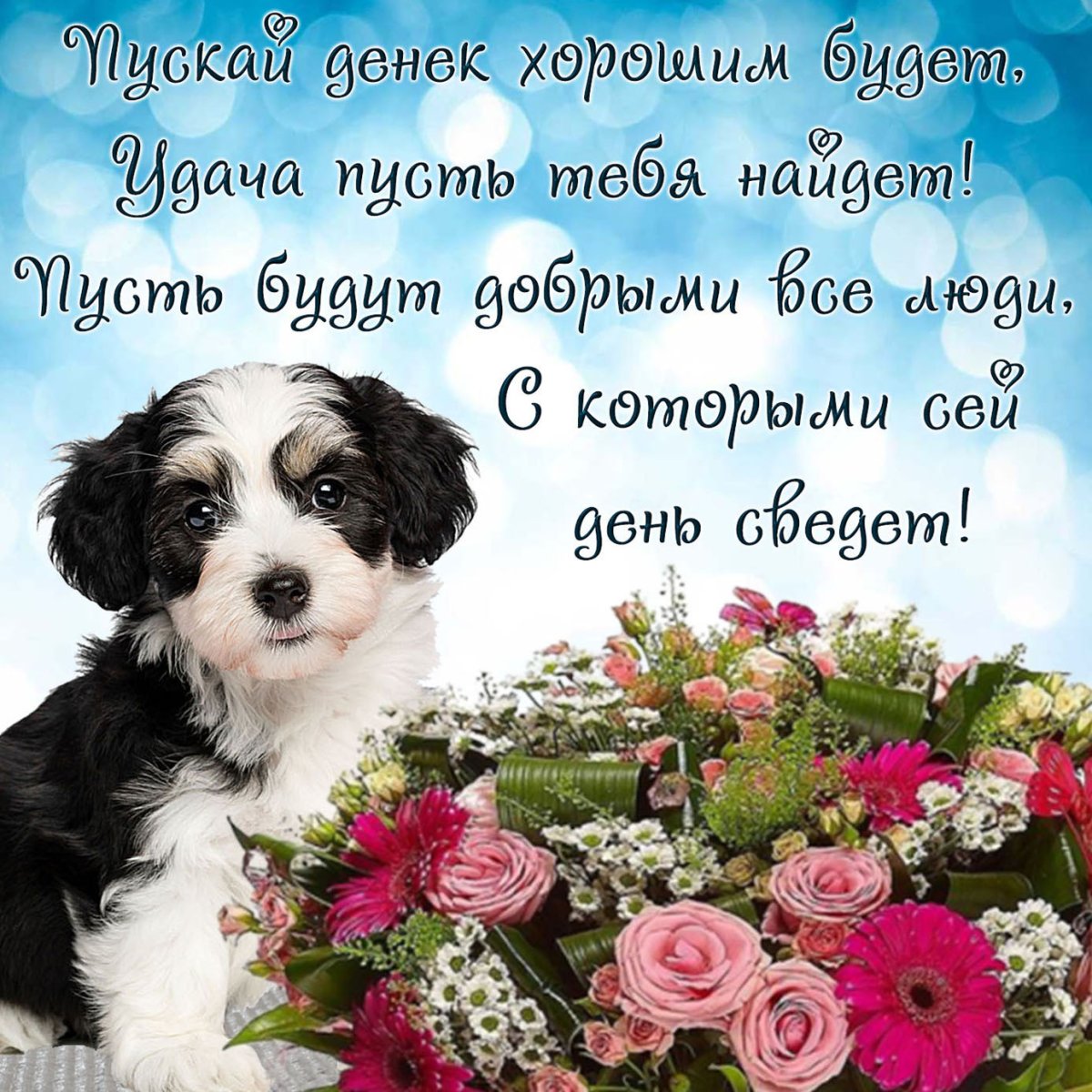 Собачки с пожеланиями