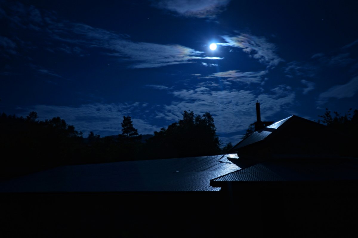 Дерево ночью