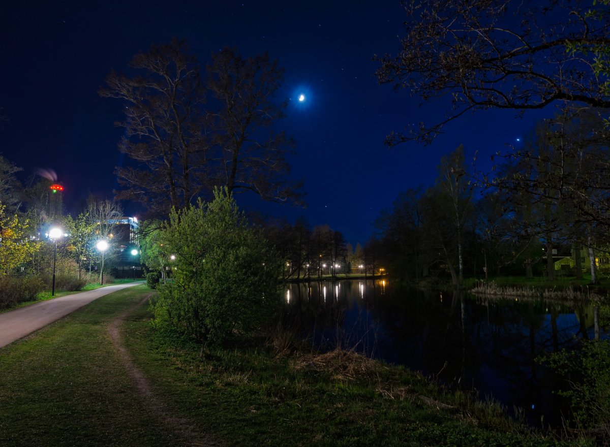 Ночной пейзаж