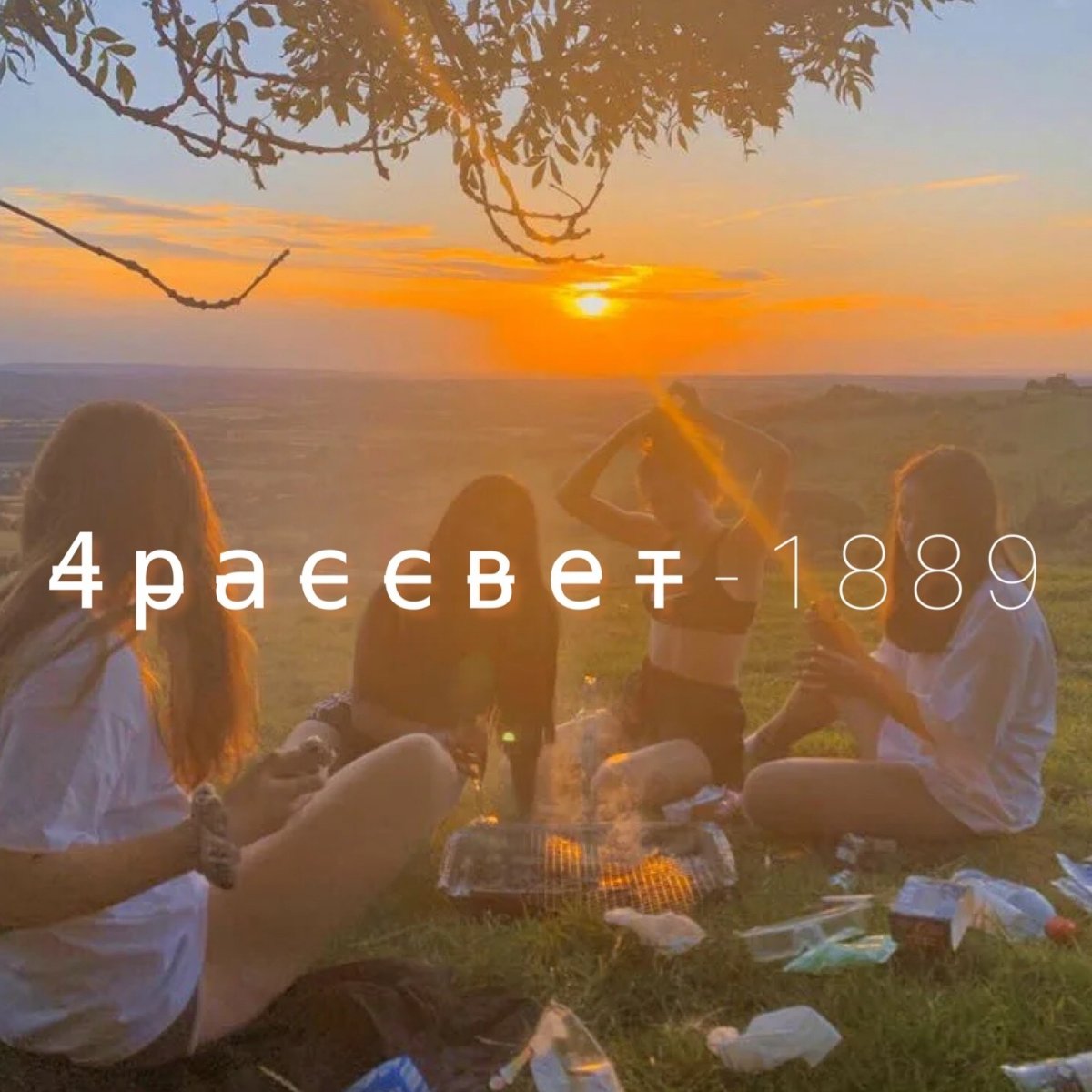 Поляна ромашек