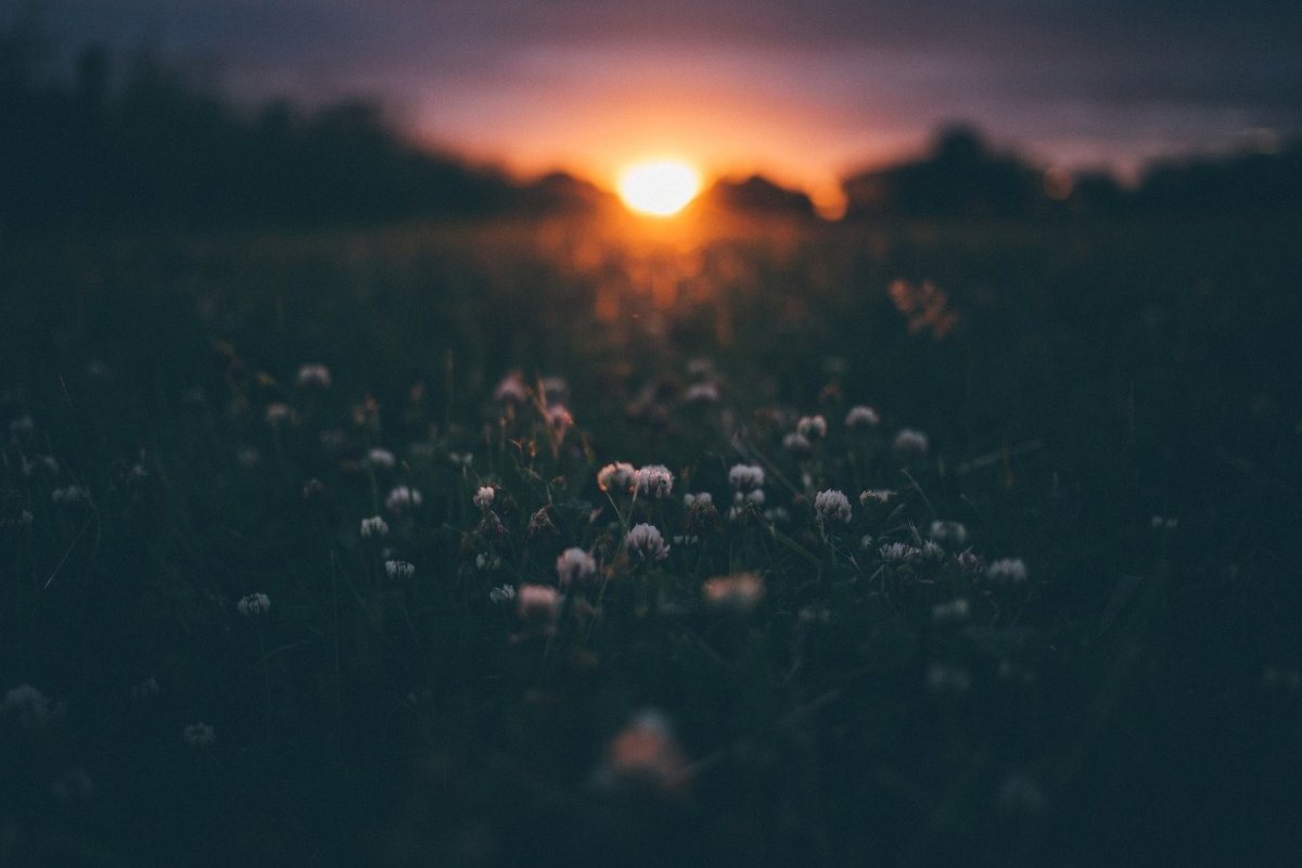 Лето с друзьями