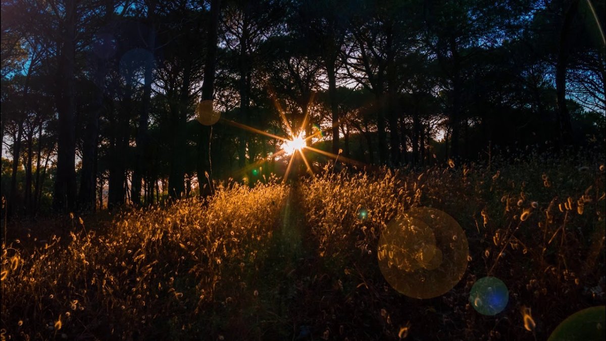 Тишков частная Луна