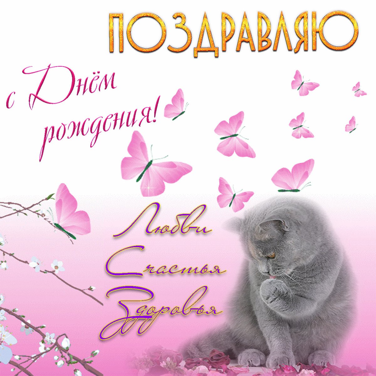 Поздравления с днём рождения Оле