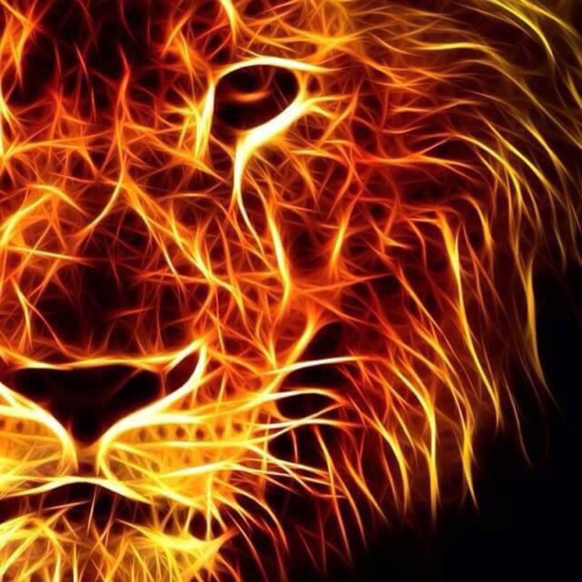 Огненный Лев и львица