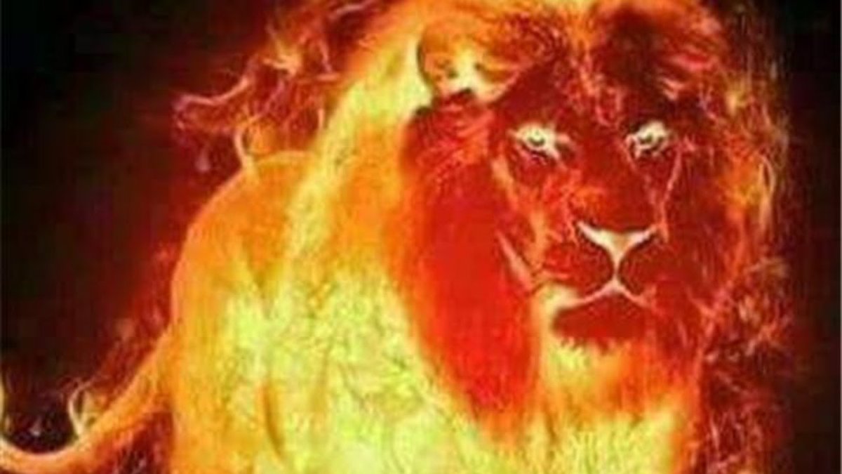 Огненная львица