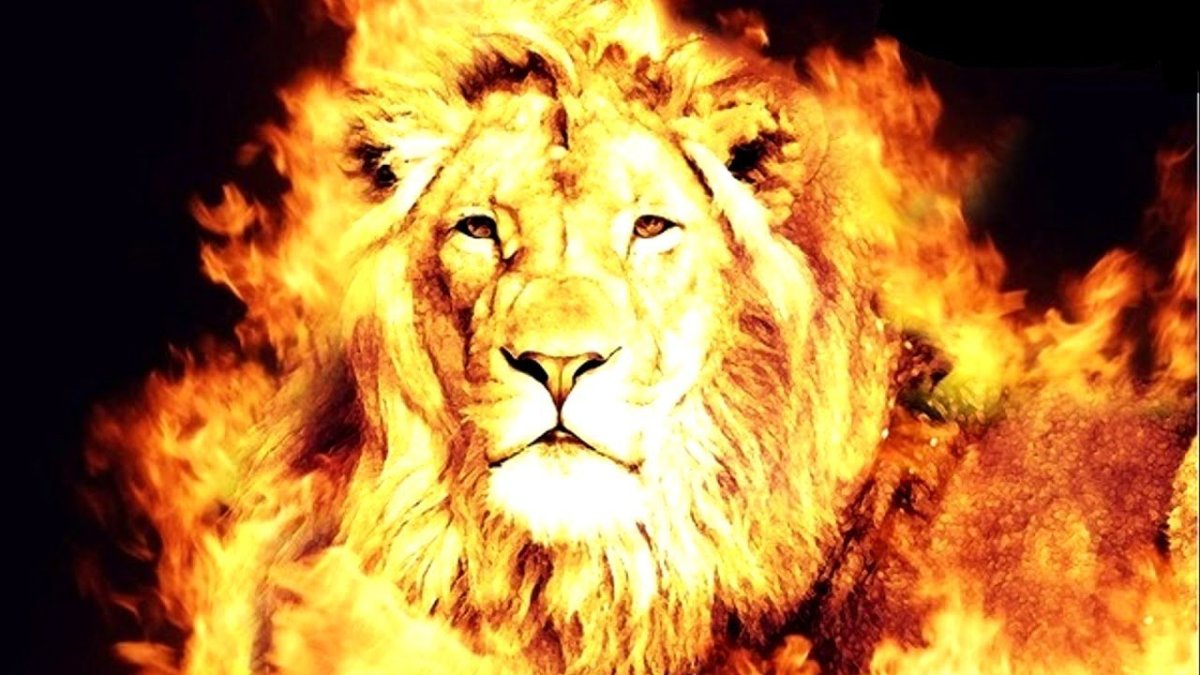 Огненный Лев Кумадори