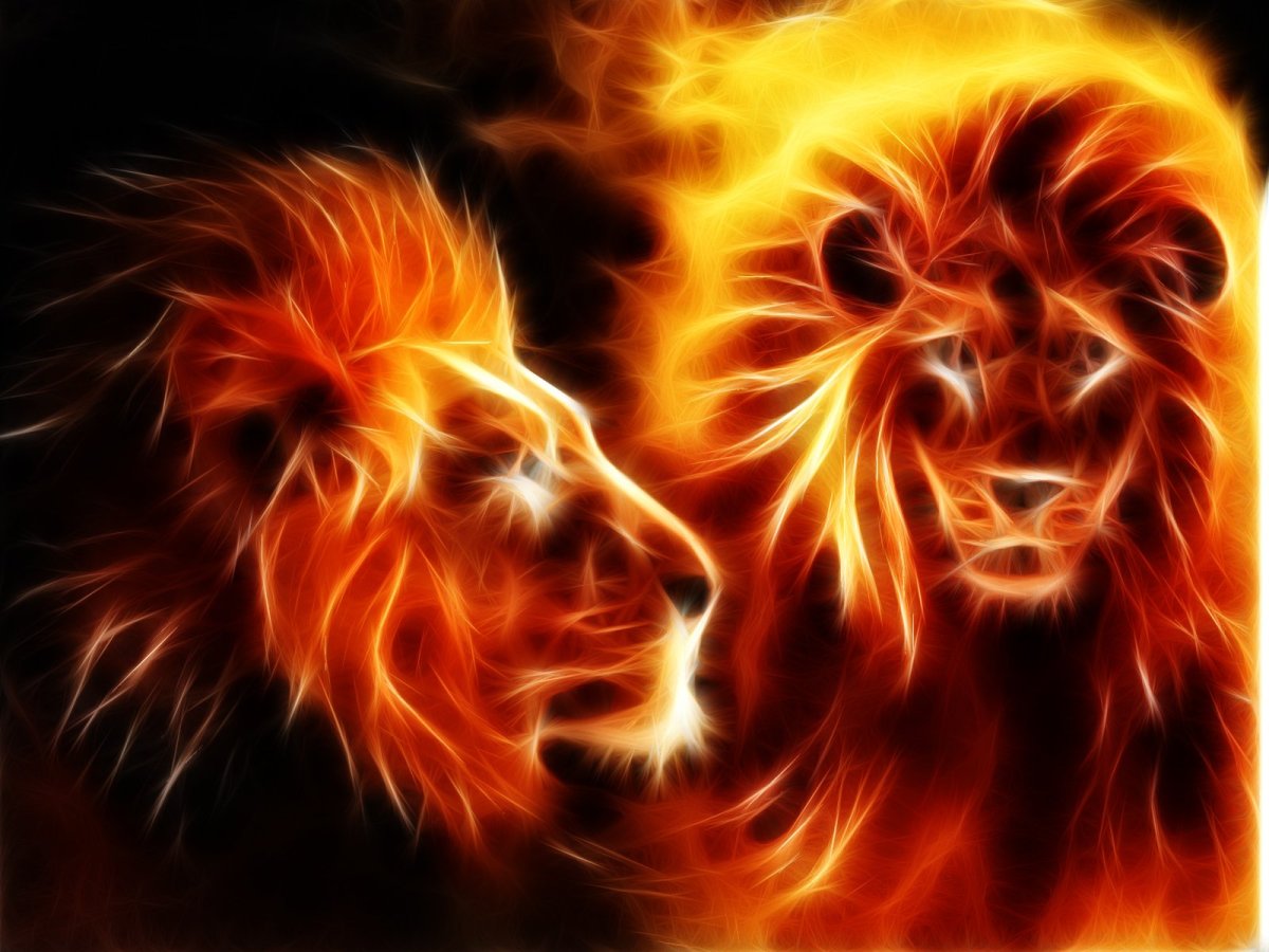 Красивый Огненный Лев