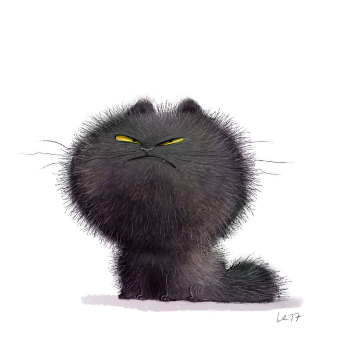 Черный Пушистик