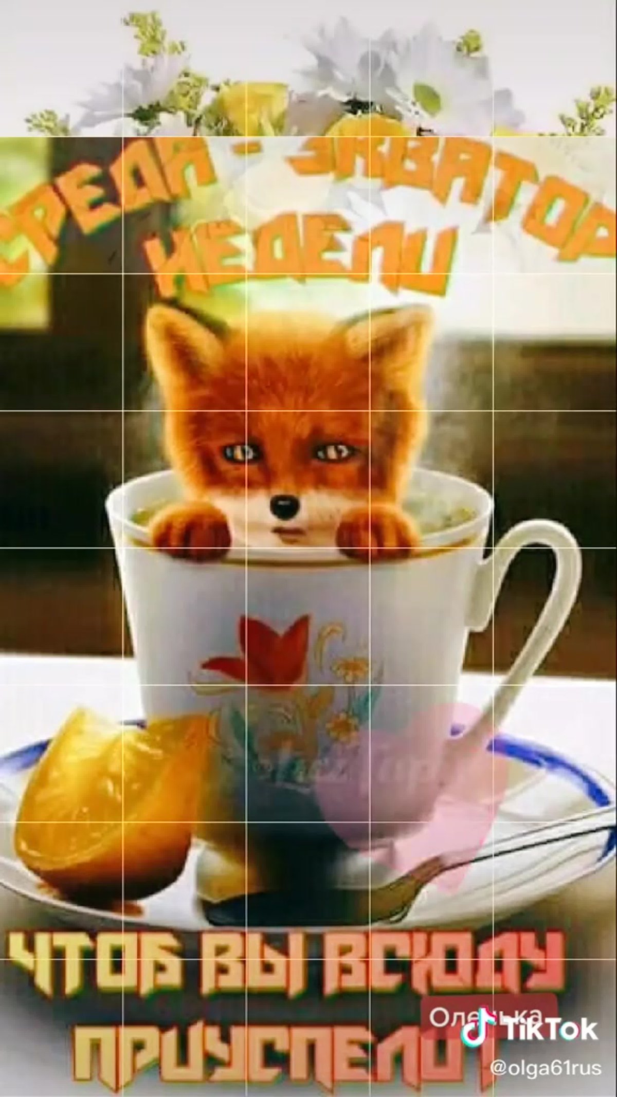 Доброе утро Лисенок