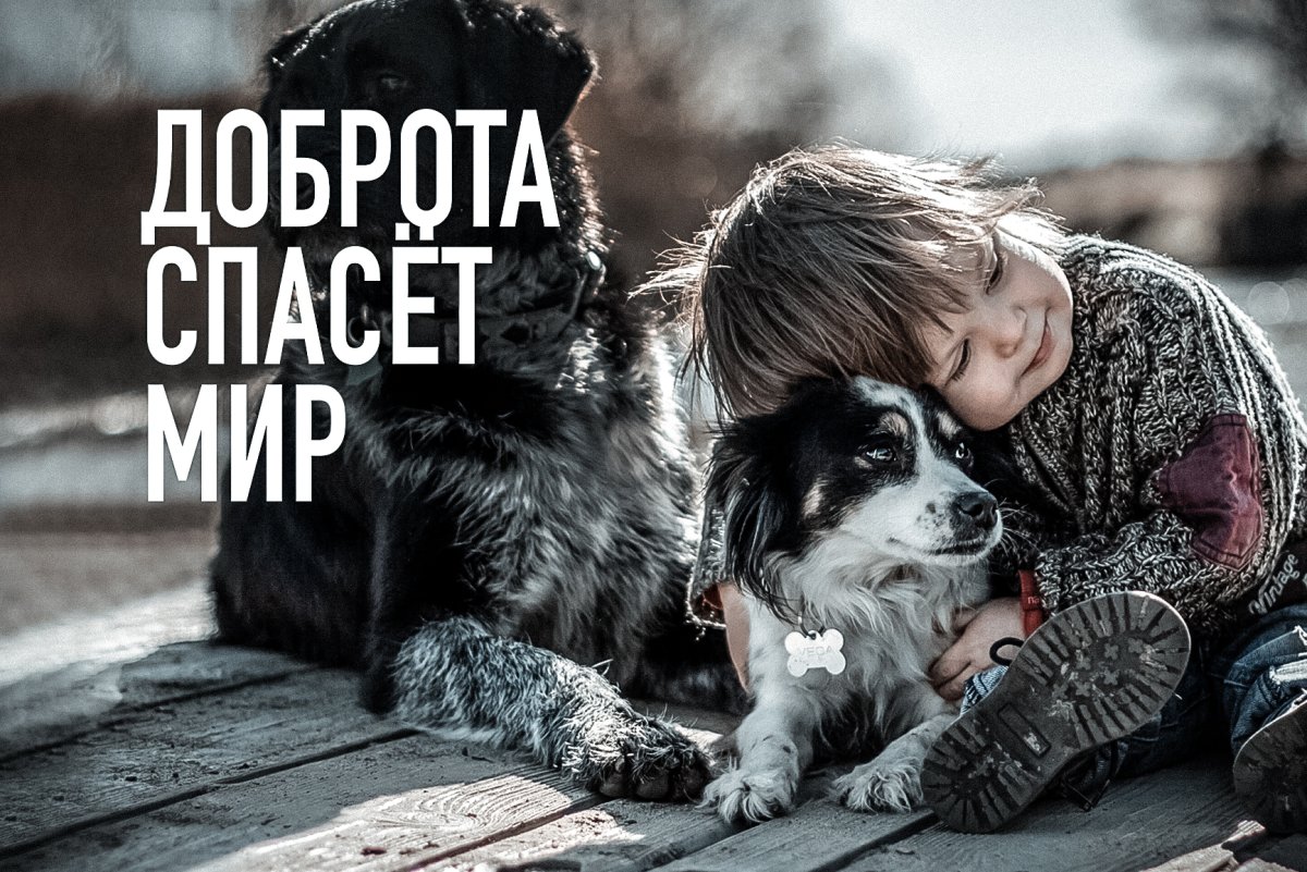 Доброта в поступках