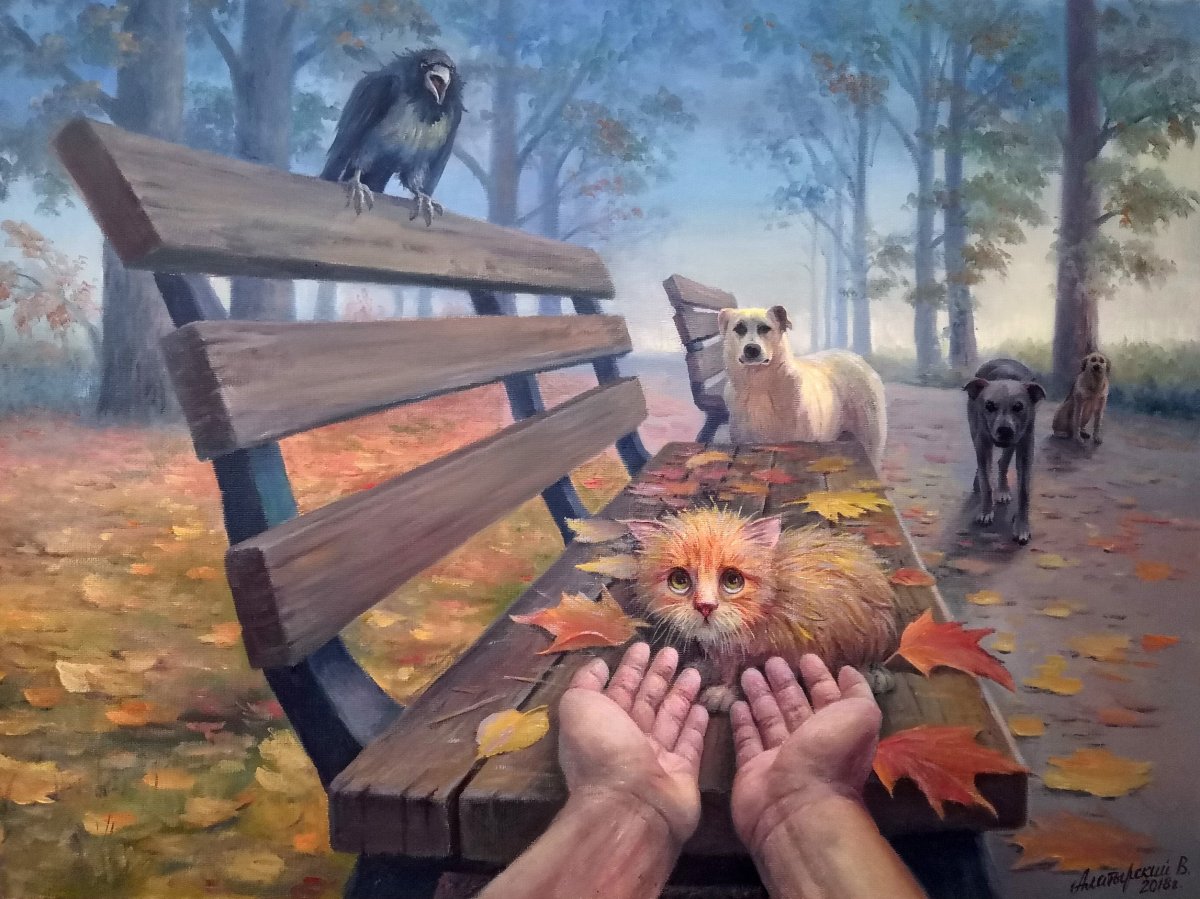 Елена Шумилова фотограф