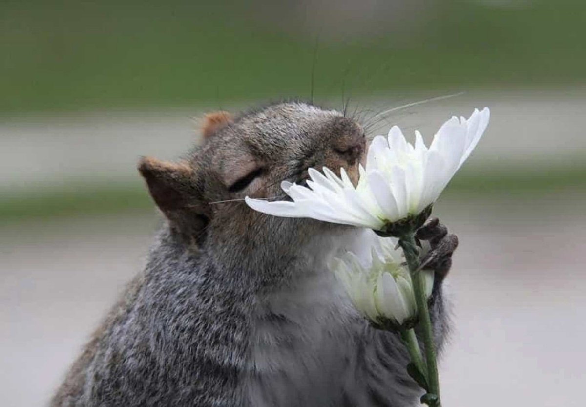 ВСНВ В России реальность