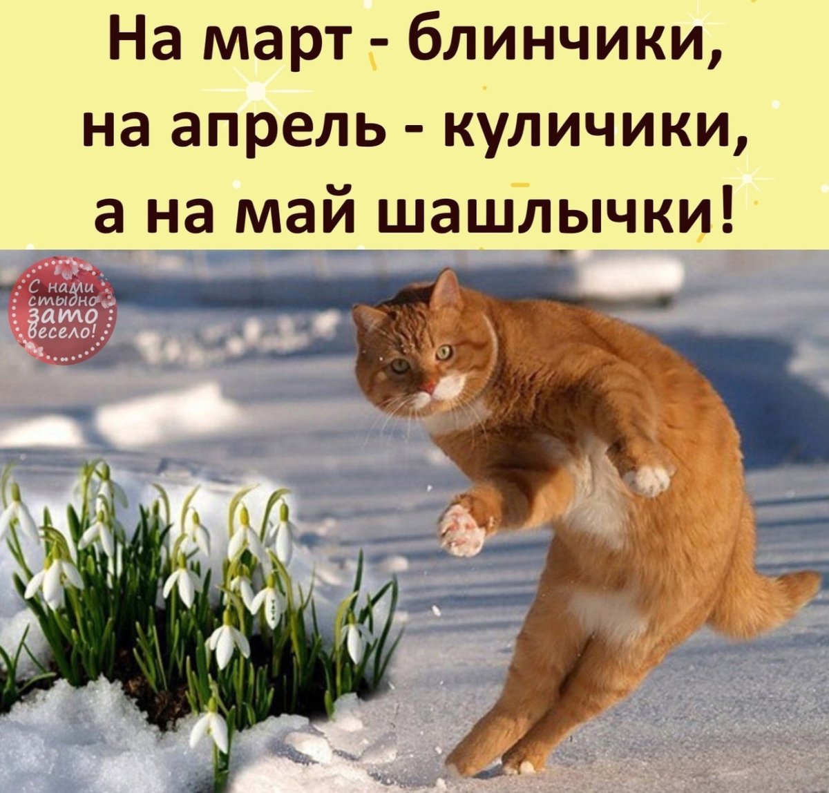 Ждем весну картинки прикольные