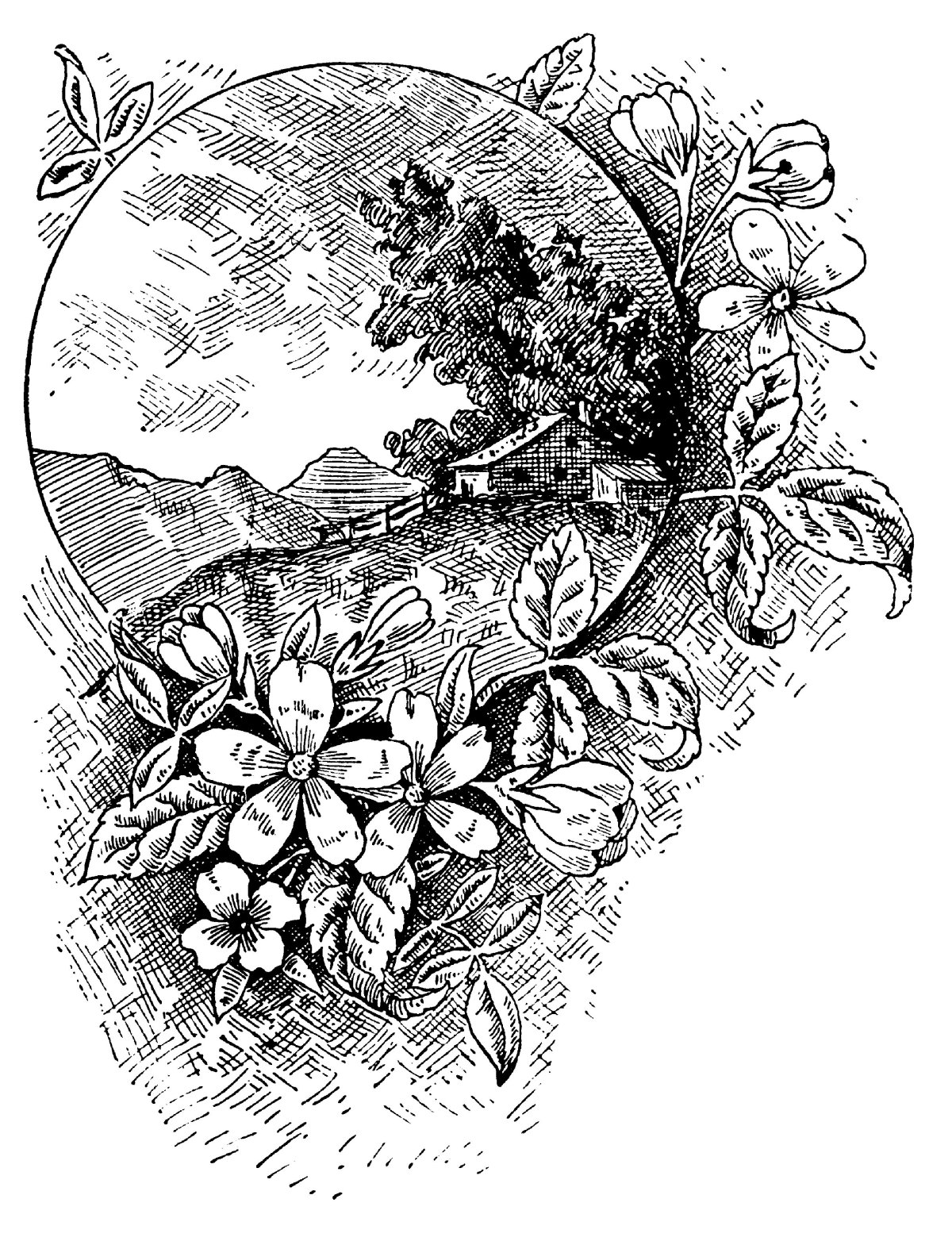 Изображения для выжигания