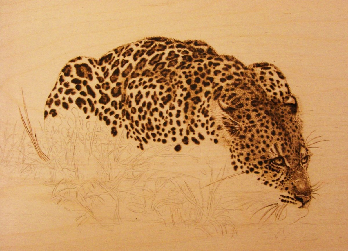 Леопард пирография