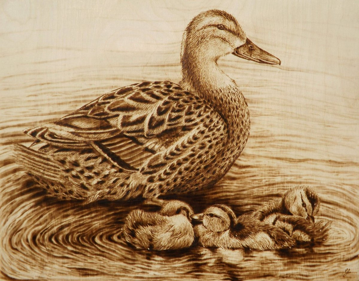 Выжигание по дереву птицы