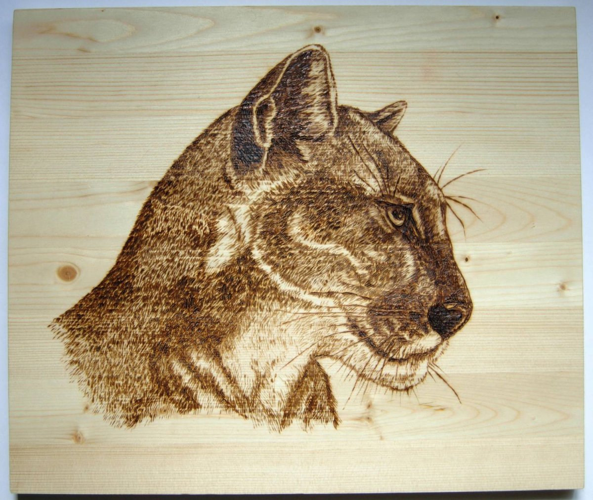 Художественное Выжигание по дереву