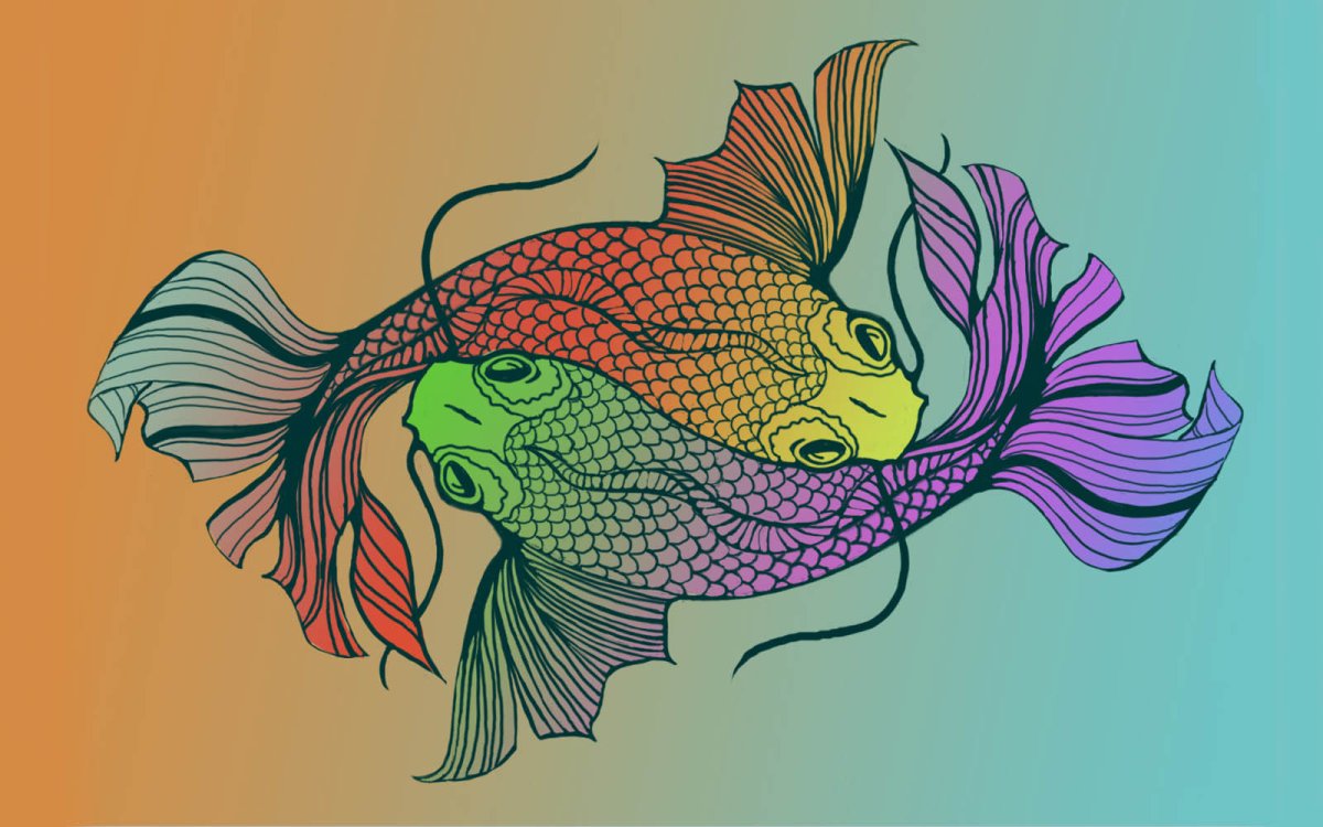 Красивые рыбы арт