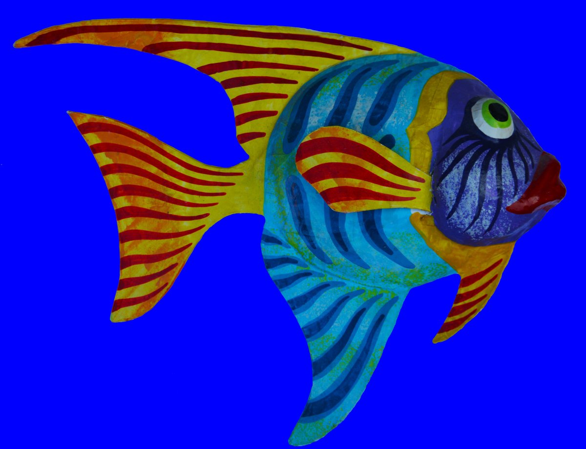 Красивые рыбки для детей