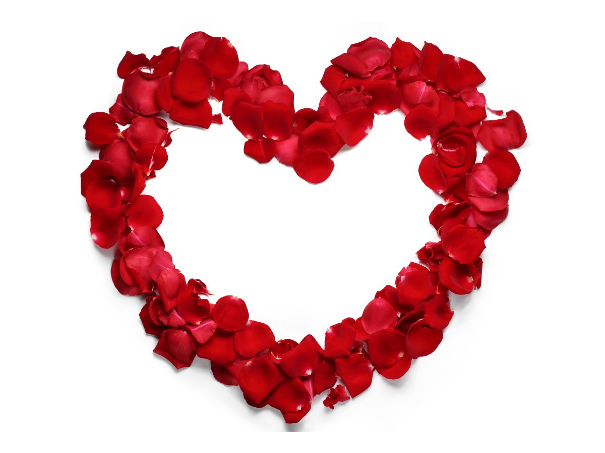 Большое сердце