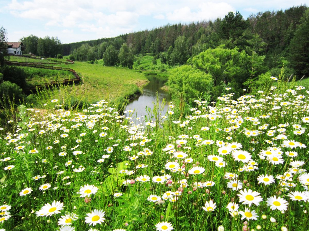 Июнь природа