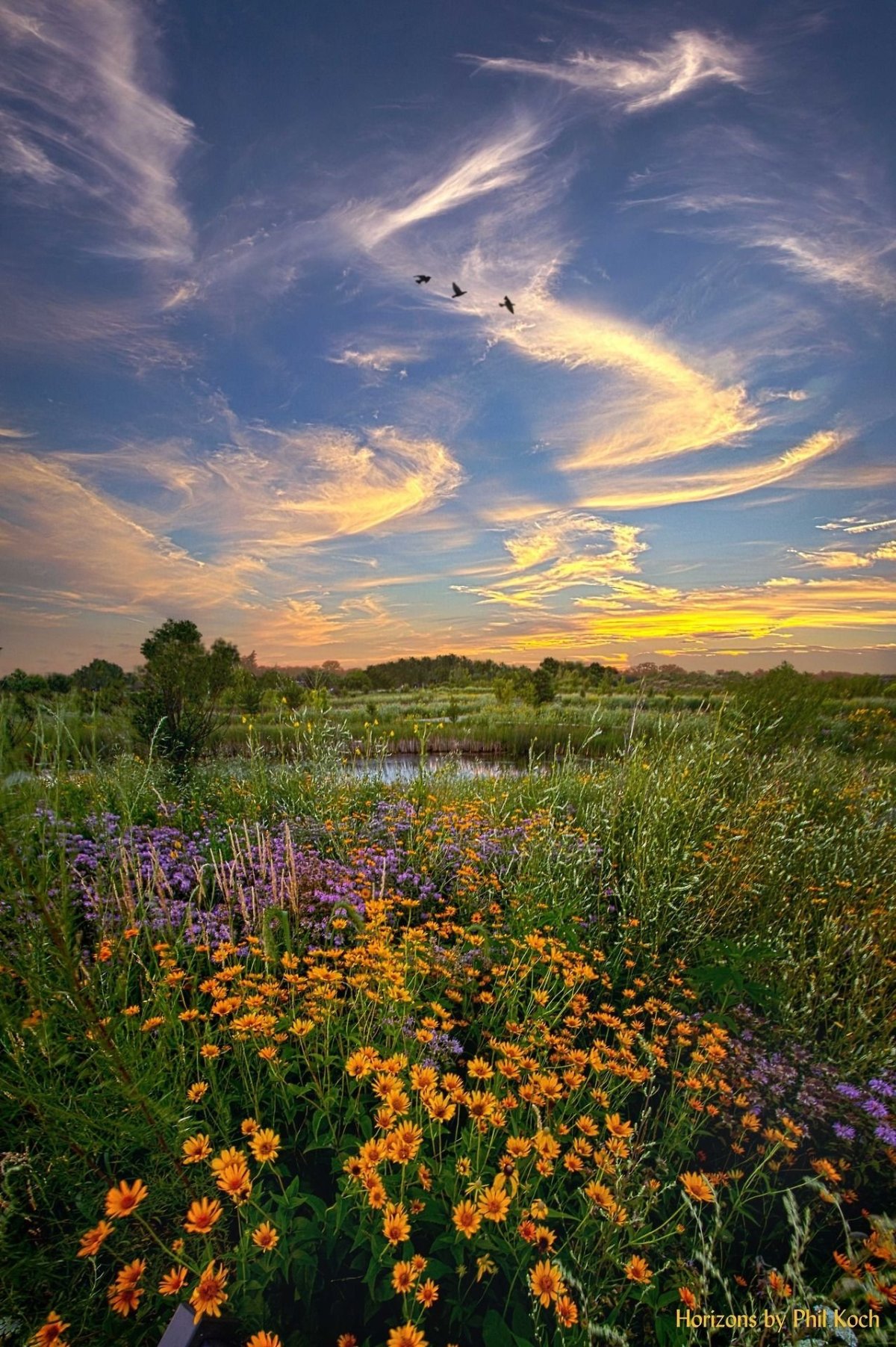 Июль пейзаж