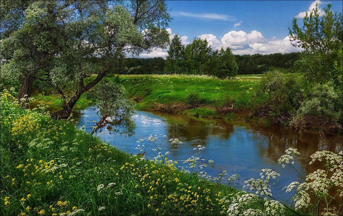 Июль пейзаж