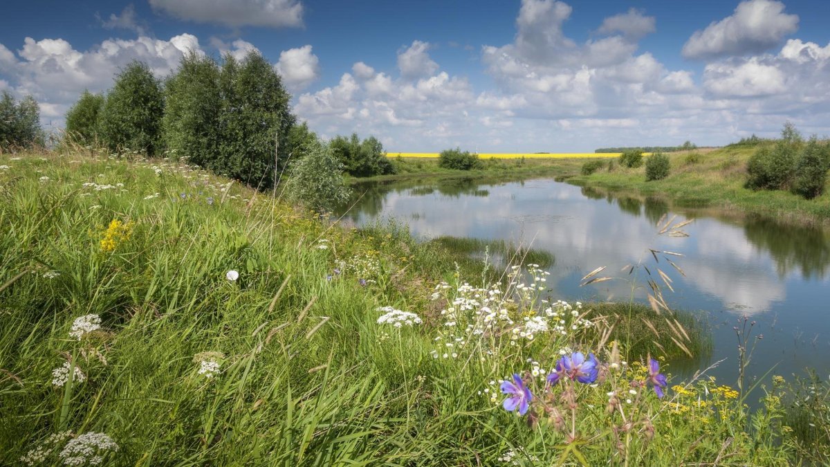 Река Полянка Калужская область