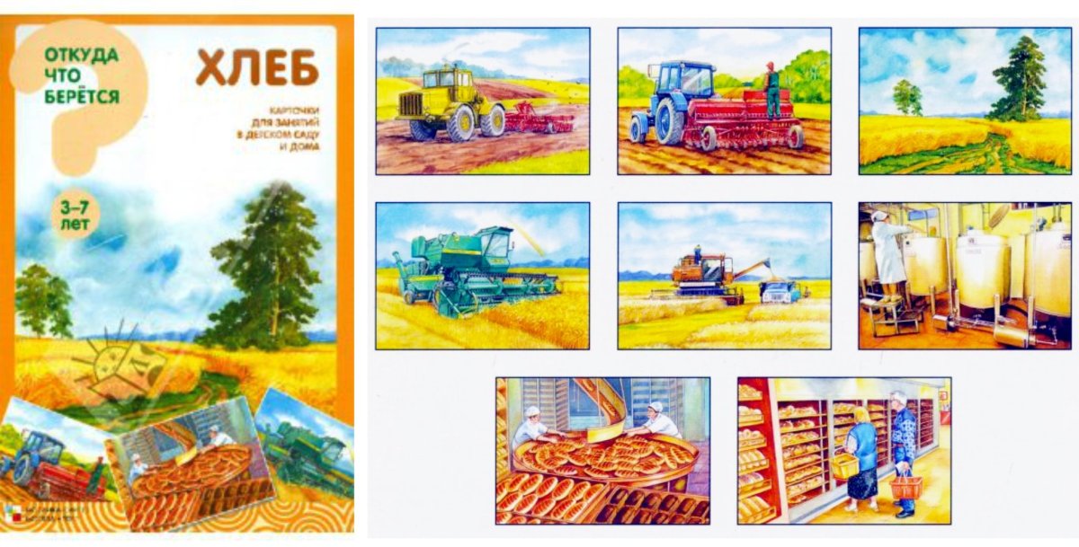 Как выращивают хлеб для детей