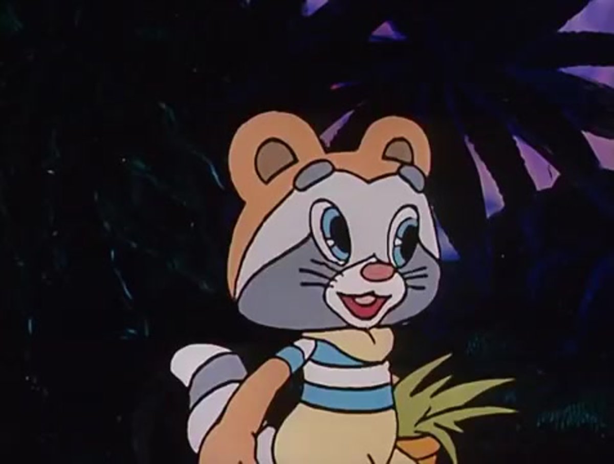 Забияка из крошки енота