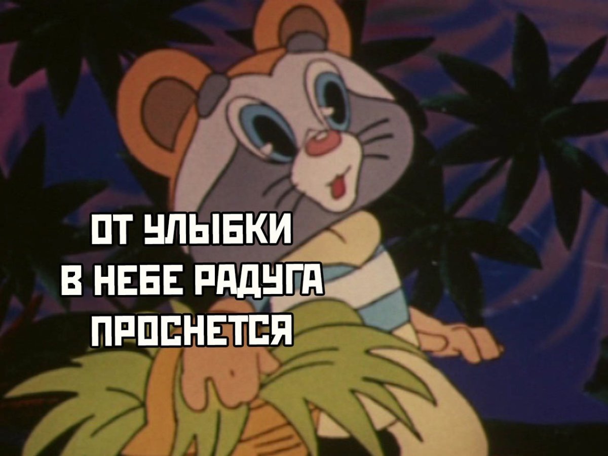 Муур крошка енот