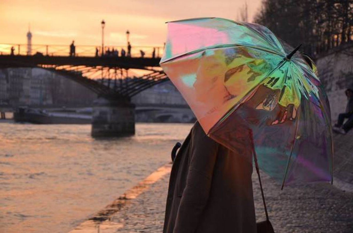 Зонт Графика