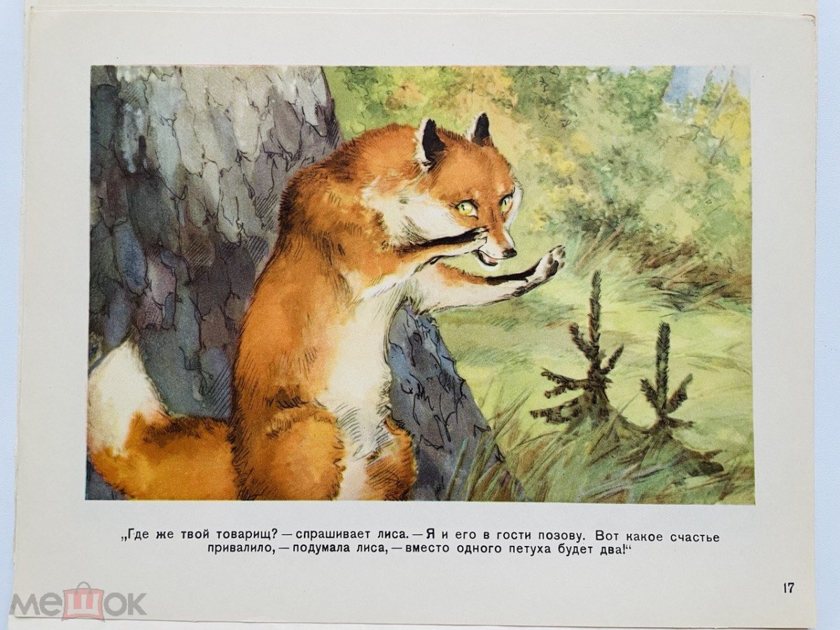 Петух и собака раскраска