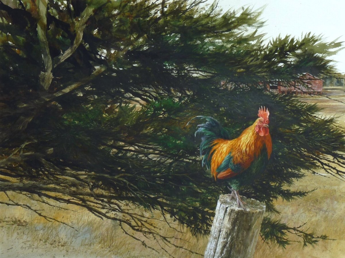 Петух картины художников