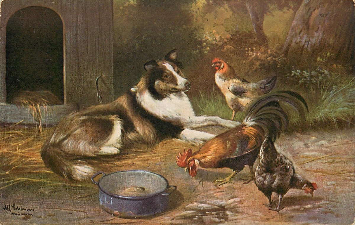 Домашние животные и птицы