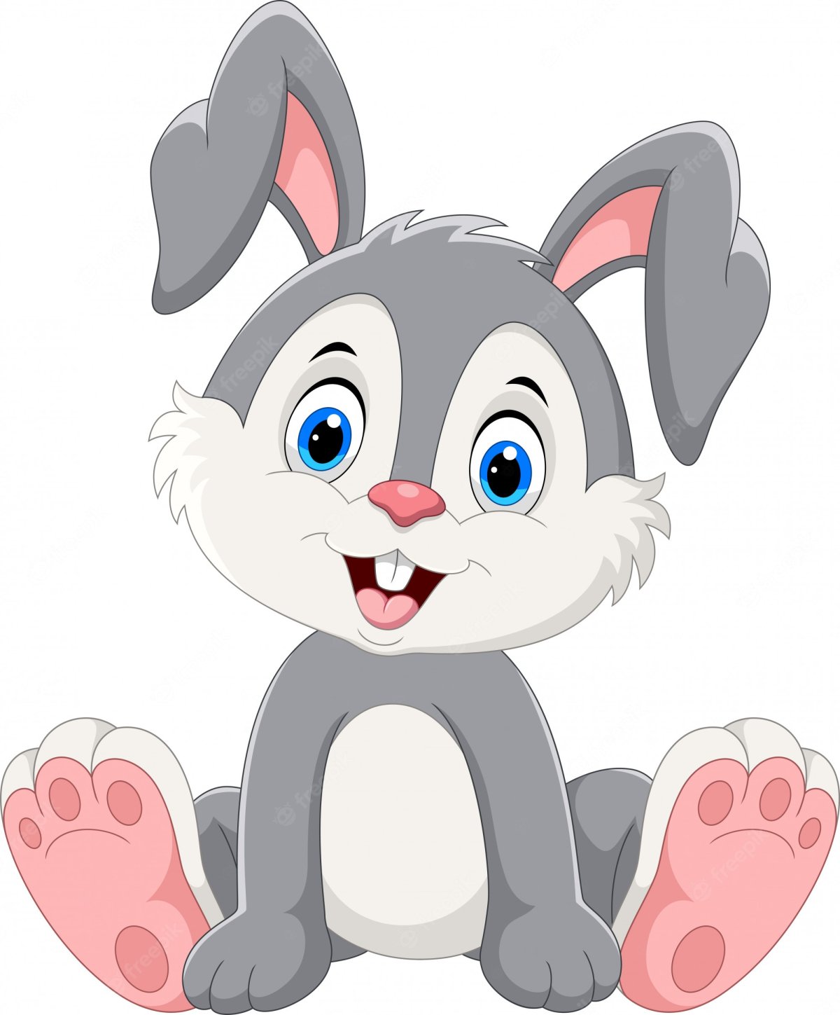 Мордочка зайки