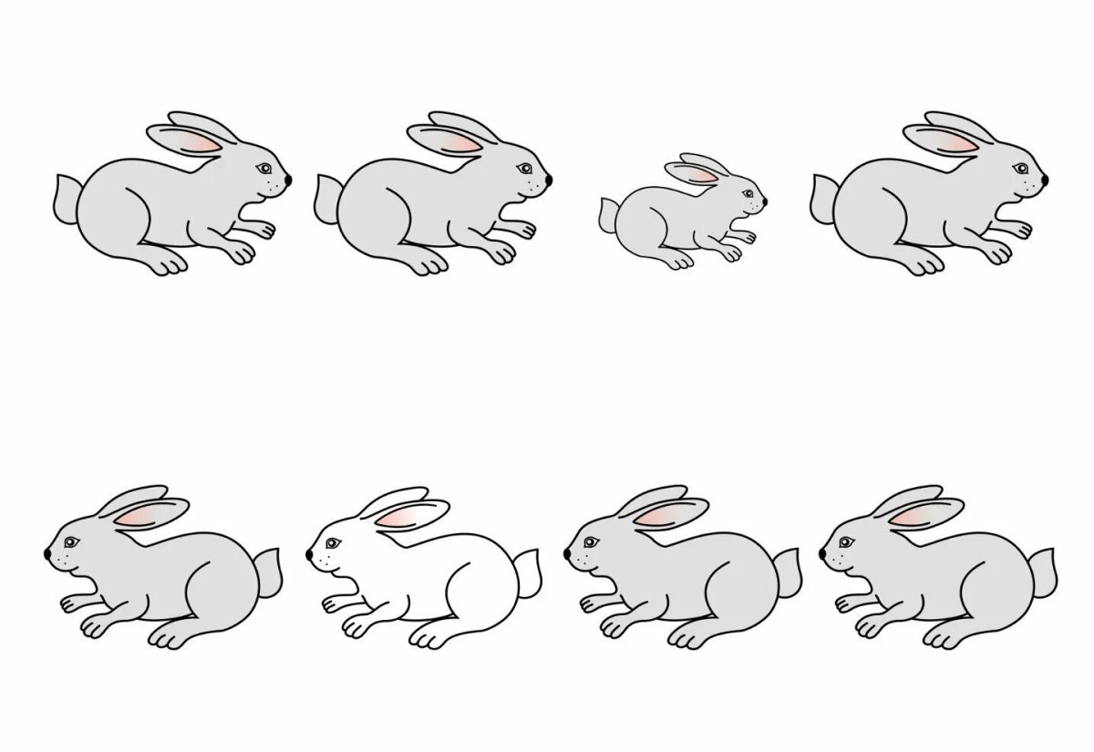 Рисунок зайца для срисовки