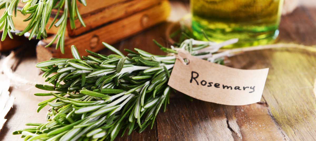 Розмарин красиво