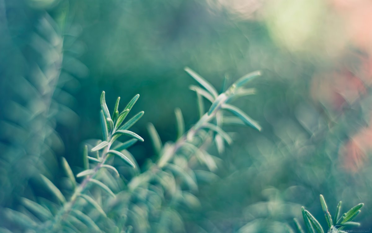 Размытое фото